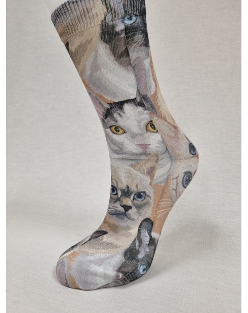 CALCETINES ORIGINALES DE MUJER CON GATOS