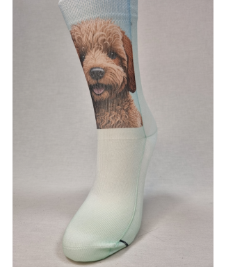 CALCETINES INFORMALES DE... 2