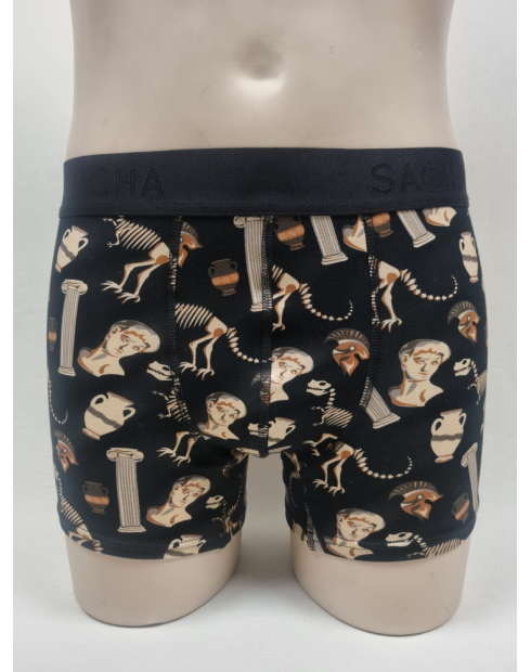 BOXER DIFERENTE DE HOMBRE CON DINOSAURIOS
