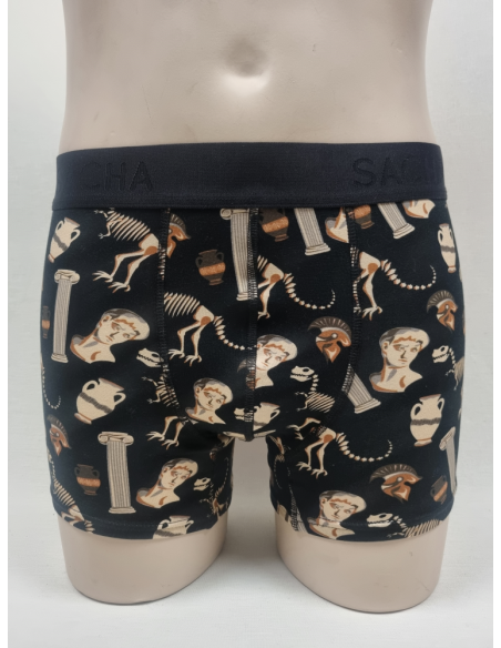 BOXER DIFERENTE DE HOMBRE CON DINOSAURIOS