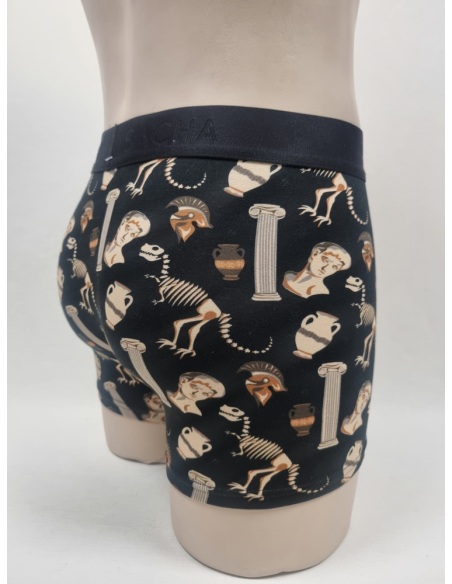 BOXER DIFERENTE DE HOMBRE CON DINOSAURIOS