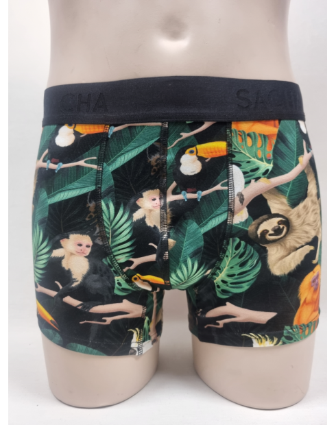 BOXER DIVERTIDO DE HOMBRE ANIMALES EN...