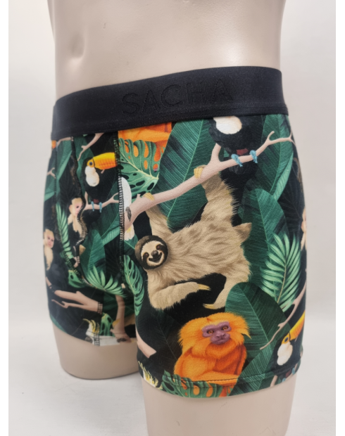 BOXER DIVERTIDO DE HOMBRE ANIMALES EN...