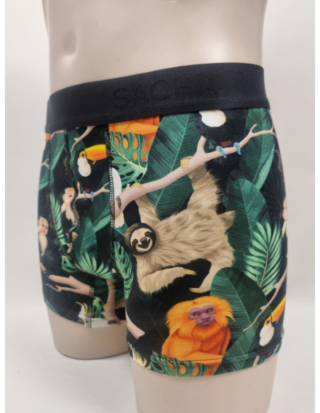 BOXER DIVERTIDO DE HOMBRE ANIMALES EN LA SELVA