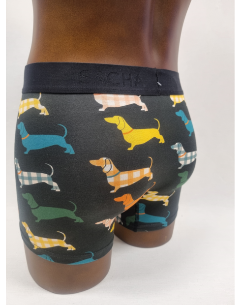 BOXER ORIGINAL DE HOMBRE CON PERRO...