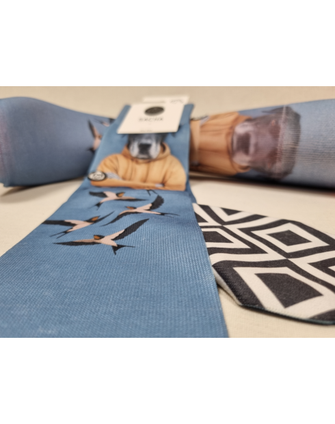 CALCETINES MOLONES DE HOMBRE CON PERRO