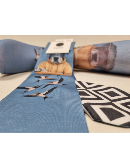 CALCETINES MOLONES DE HOMBRE CON PERRO