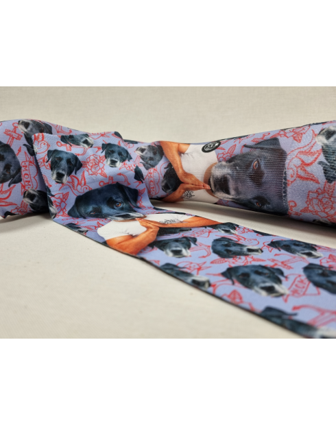 CALCETINES MOLONES DE HOMBRE DIBUJO...