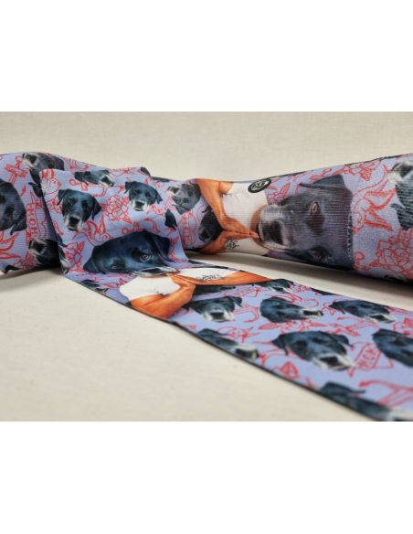 CALCETINES MOLONES DE HOMBRE DIBUJO HOMBRE PERRO