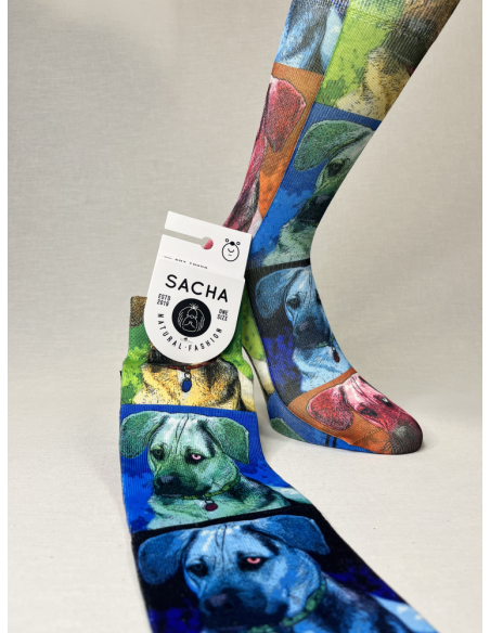CALCETINES ORIGINALES DE HOMBRE PERRO COLORES