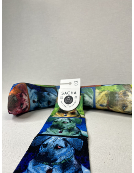 CALCETINES ORIGINALES DE HOMBRE PERRO COLORES