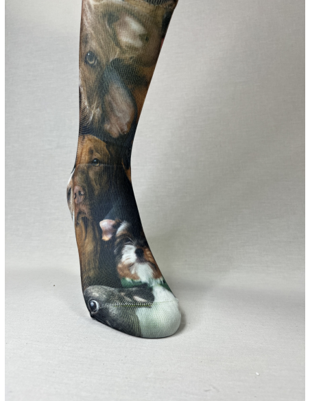 CALCETINES MOLONES DE HOMBRE DOG SQUAD