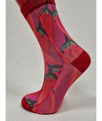 CALCETINES ATREVIDOS DE...