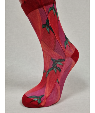 CALCETINES ATREVIDOS DE... 2