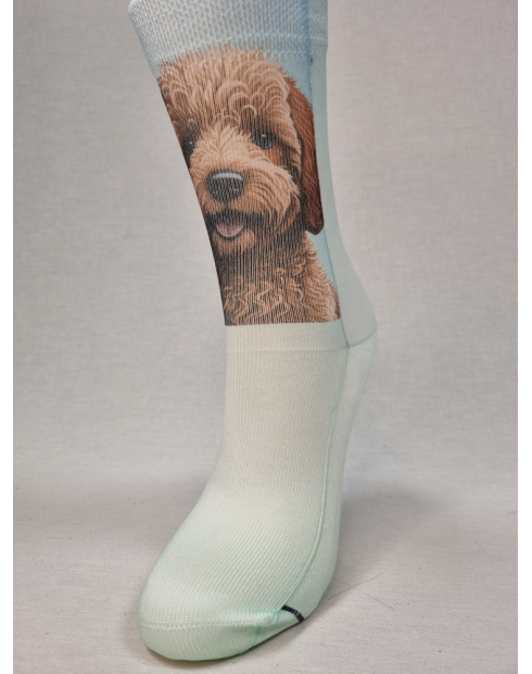 CALCETINES INFORMALES DE MUJER CON...