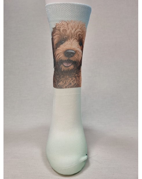 CALCETINES INFORMALES DE MUJER CON...