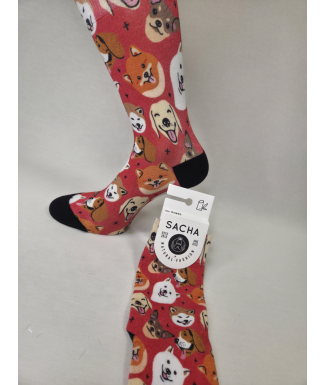 CALCETINES IDEALES DE MUJER... 2